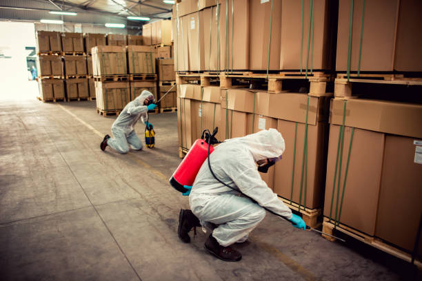 Best Exterminator Services  in Bremen, GA