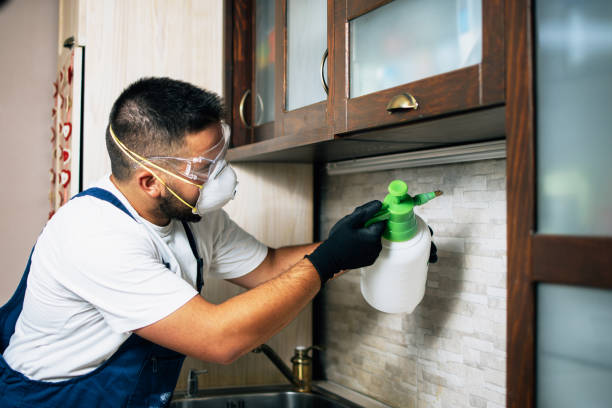 Best Affordable Pest Control Services  in Bremen, GA