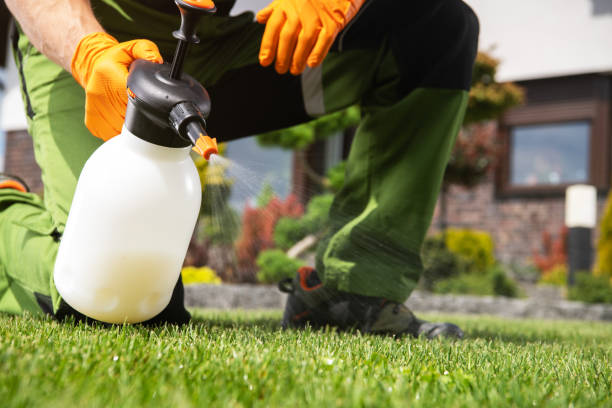 Best Pest Control Near Me in Bremen, GA