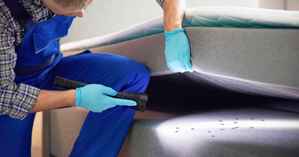 Best Pest Prevention Services  in Bremen, GA