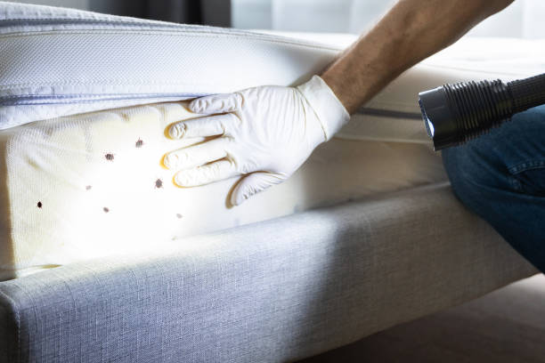 Best Cockroach Control Services  in Bremen, GA