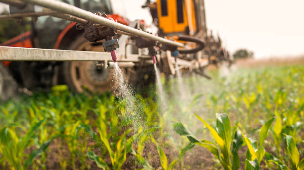 Best Ant Control Services  in Bremen, GA