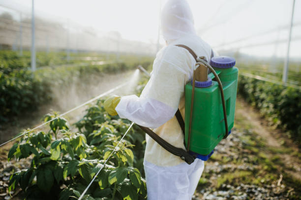 Best Insect Control  in Bremen, GA